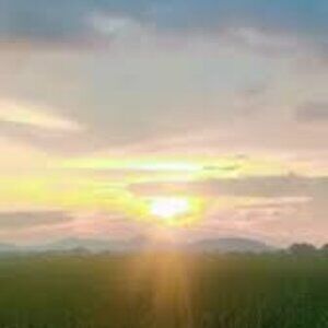 Meet your Posher, Lay